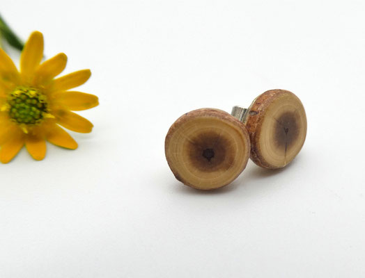 Ohrstecker aus einem Eibenholzast, 8 mm