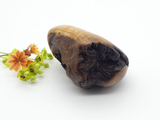 Handschmeichler aus Holz - Olivekern-Esche