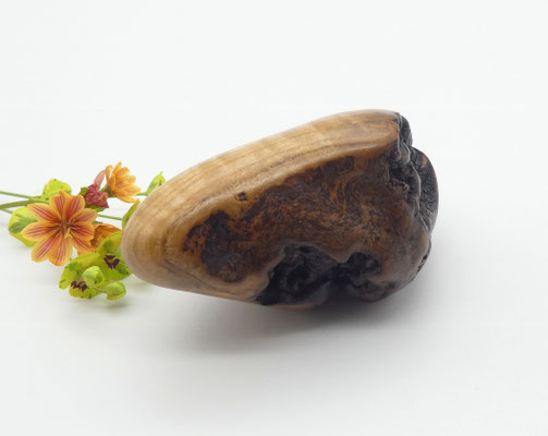 Handschmeichler aus Holz - Olivekern-Esche