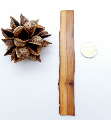 Lesezeichen aus Holz - Apfelbaum