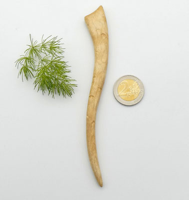 Haarstab aus Holz - Muschelahorn