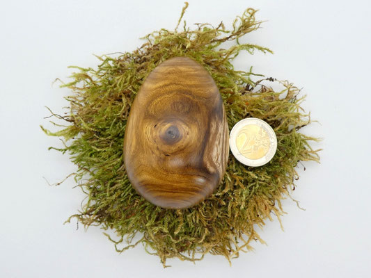 Holzei aus Goldregen