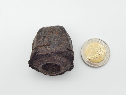 3 Kartenhalter aus Eukalyptuszapfen