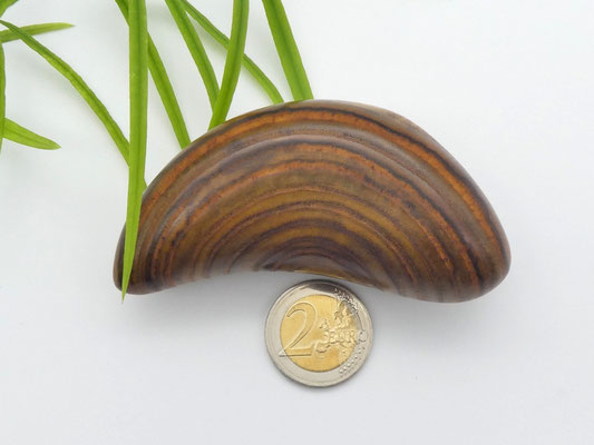 Handschmeichler aus Essigbaum