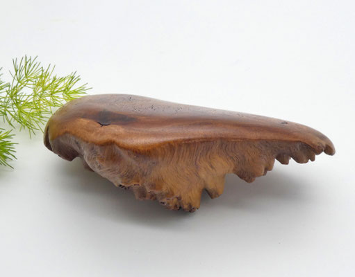 Handschmeichler aus Holz, Eukalyptmaserholz