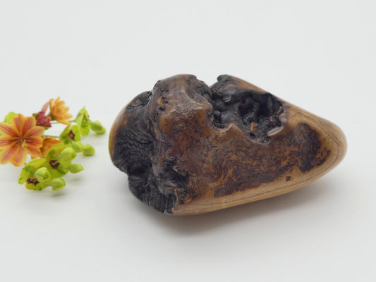 Handschmeichler aus Holz - Olivekern-Esche