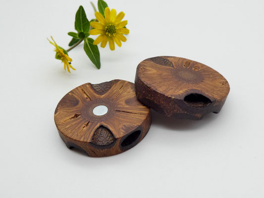2 Magnete aus einem Banksiazapfen