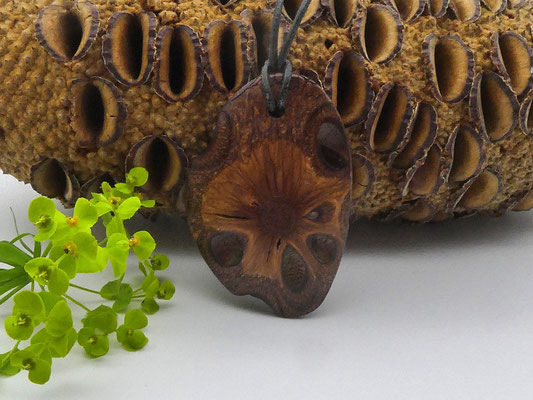 Anhänger aus einem Banksia-Zapfen