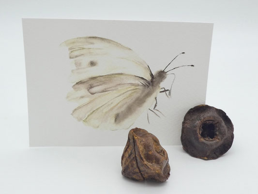 2 Kartenhalter aus Eukalyptuszapfen