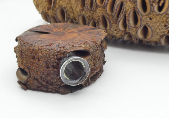 Vase aus Holz - Banksia - mit Magnet für den Kühlschrank