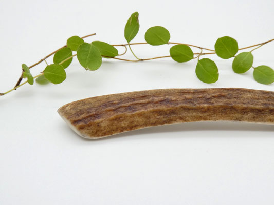 kurze Haarnadel aus Hirschgeweih