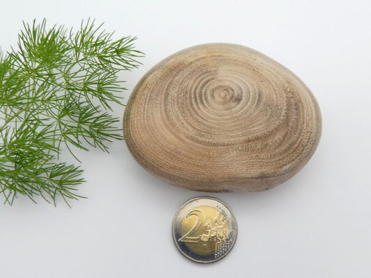 Handschmeichler aus Holz - Edelkastanie (Maroni)