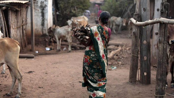 The GoodTextiles Foundation donated one cow for every farmer in this village.