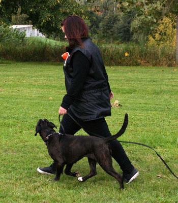 Anika und Detroit