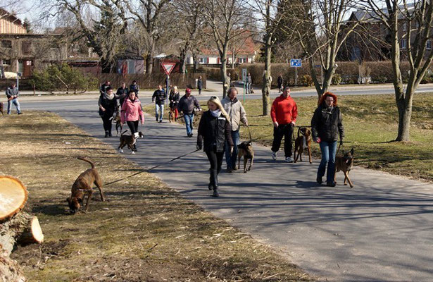 Im Dorf
