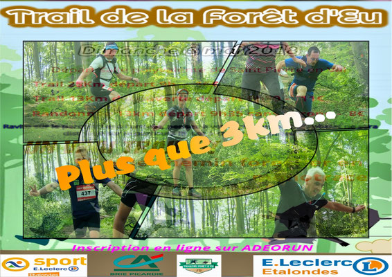 Trail de la forêt d'Eu - Plus que 3km (dép76 - 13/25km - Dim06/05/2018)