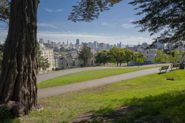 View of the business centre from Alamo Square 