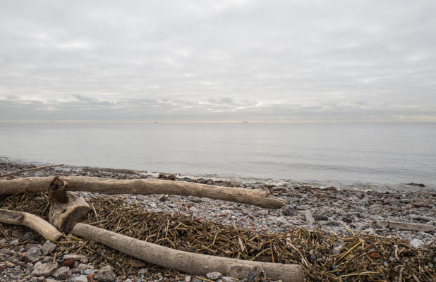 Rio de la Plata, from Parque Costanera Sur