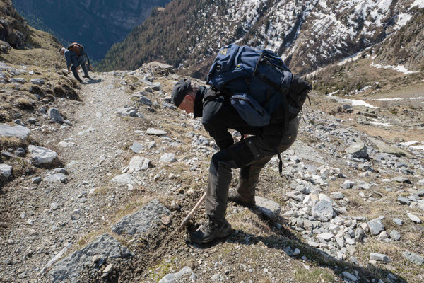 Gemeindearbeit auf der Sommeralm: Instandhaltung der Wege