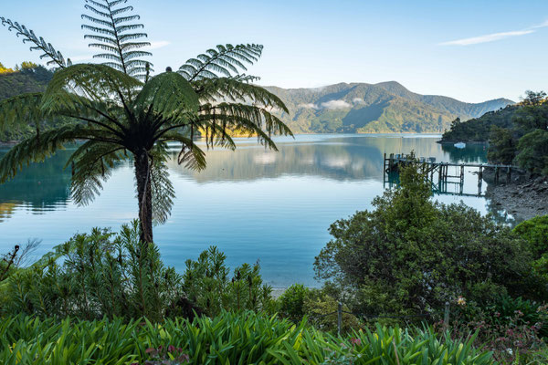 Early morning at Te Mahia Bay