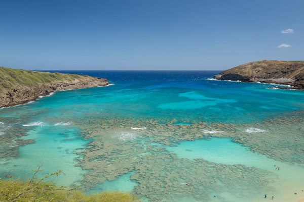 Coral reefs in Hanauma Bay, a snorkelling hot spot with 1 M visitors per year