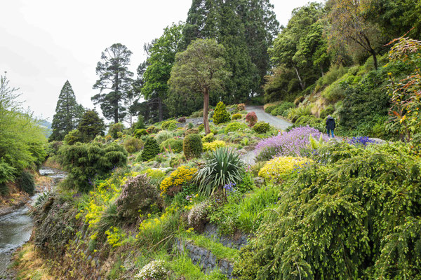 The Rock Garden