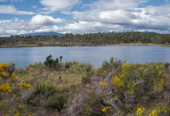 Lake Mistletoe