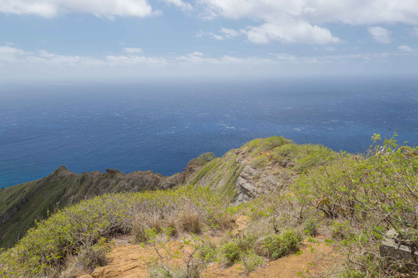 View from Koko Crater, near the lookout bunkers