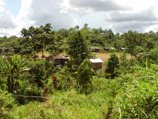 Village in Gran Sumaco area