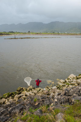 Commercial marine and sport fishing in rives and lakes are popular in Greymouth and surroundings 