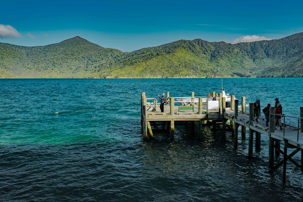 Arriving at the jetty of Motuara Island