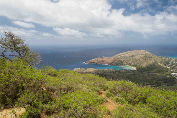 View of Hanauma Bay from Koko Crater