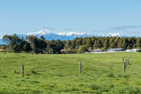 Fram in Westland, south of Hokitika