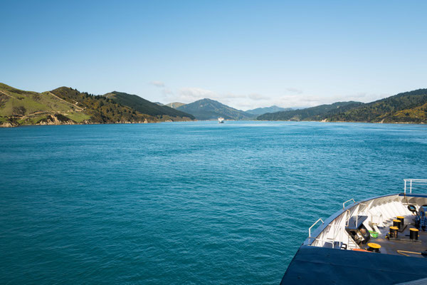 Tory Channel, Wellington ferry route