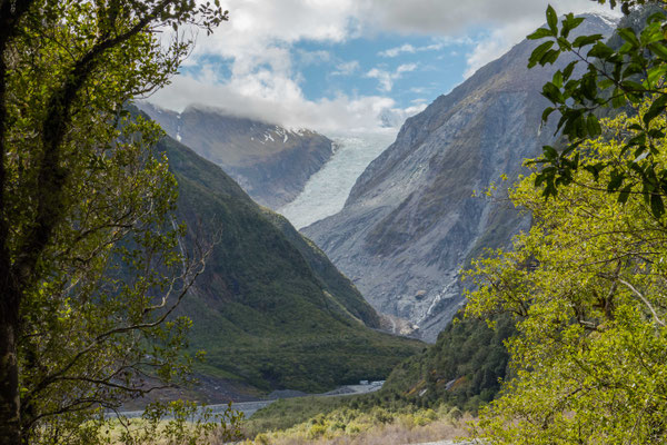 Fox Glacier