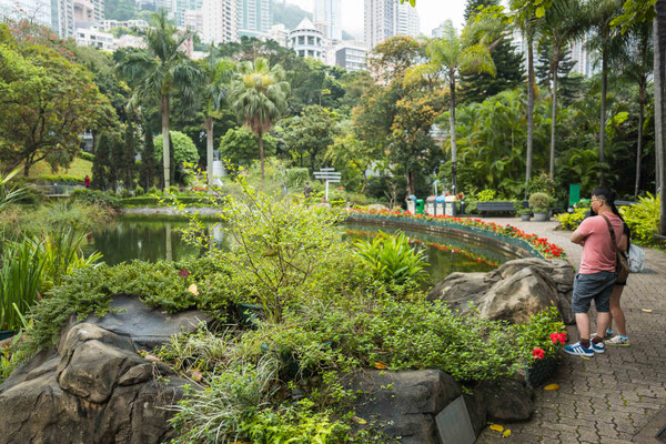 Leisure walk in the Hong Kong Park