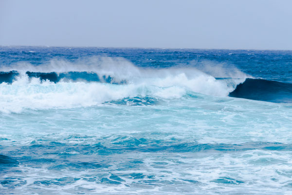 North shore waves