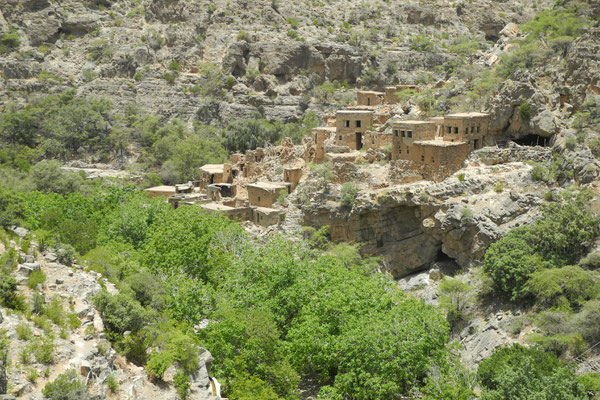 Village in the Sayq-Plateau