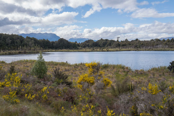 Lake Mistletoe