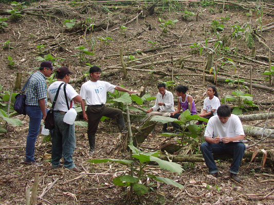 Agroforestry