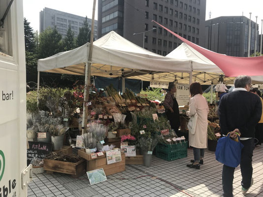 DOGSALONSEALY　ドッグサロンシーリー　表参道　神宮前　南青山　外苑前　トリミングサロン　射手今日子　青山ファーマーズマーケット