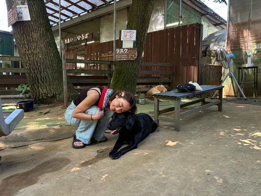 DOGSALONSEALY　ドッグサロンシーリー　表参道　南青山　外苑前　トリミングサロン　射手今日子　プードル 　トリマー