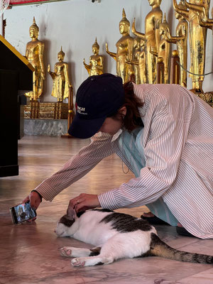 DOGSALONSEALY　ドッグサロンシーリー　表参道　南青山　外苑前　トリミングサロン　射手今日子　プードル 　トリマー