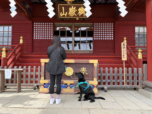 DOGSALONSEALY　ドッグサロンシーリー　表参道　南青山　外苑前　トリミングサロン　射手今日子　プードル 　トリマー　