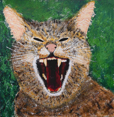 Wild wild cat Acryl auf Malbrett 30 x 30, 270,- / 2021