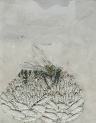 BIENE AUF BLUME 10  Paraffin + Acryl auf Papier, gerahmt 32 x 24 cm