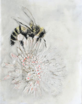 VERKAUFT !!! BIENE AUF BLUME 9 2022 Paraffin + Acryl auf Papier, gerahmt  30 x 24 cm