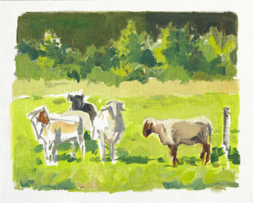 SCHAFWEIDE VII 2023 Öl auf HDF + Leinwand 24 x 30 cm