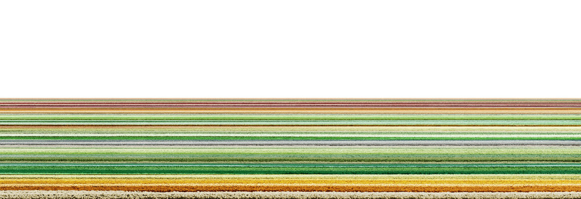 Bollenstreek,  2014, Lambdaprint/Diasec hinter Acryl,  Ed. 5 75 x 220 cm + 54x180cm
