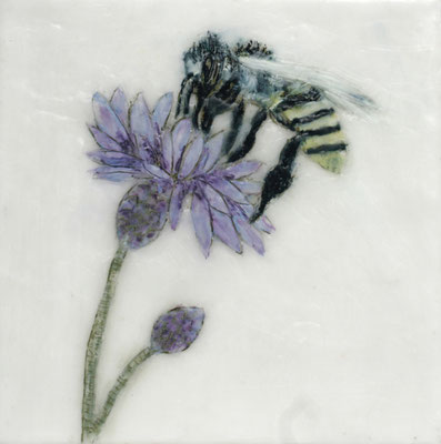 BIENE AUF BLUME 14 2024 Bleistift und Paraffin auf Leinwand 20 x 20 cm